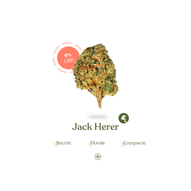 Jack herer CBD