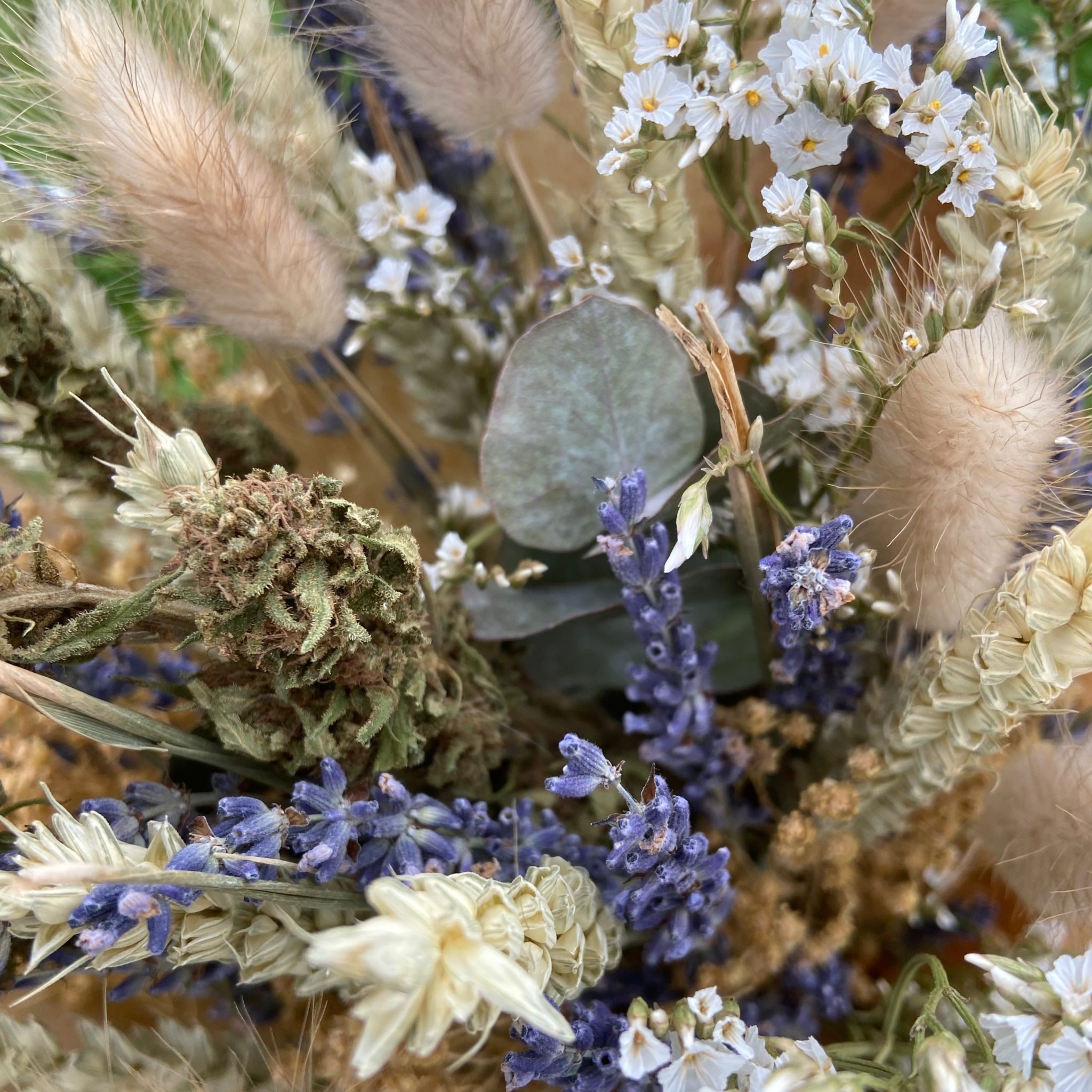 Bouquet fleurs de chanvre