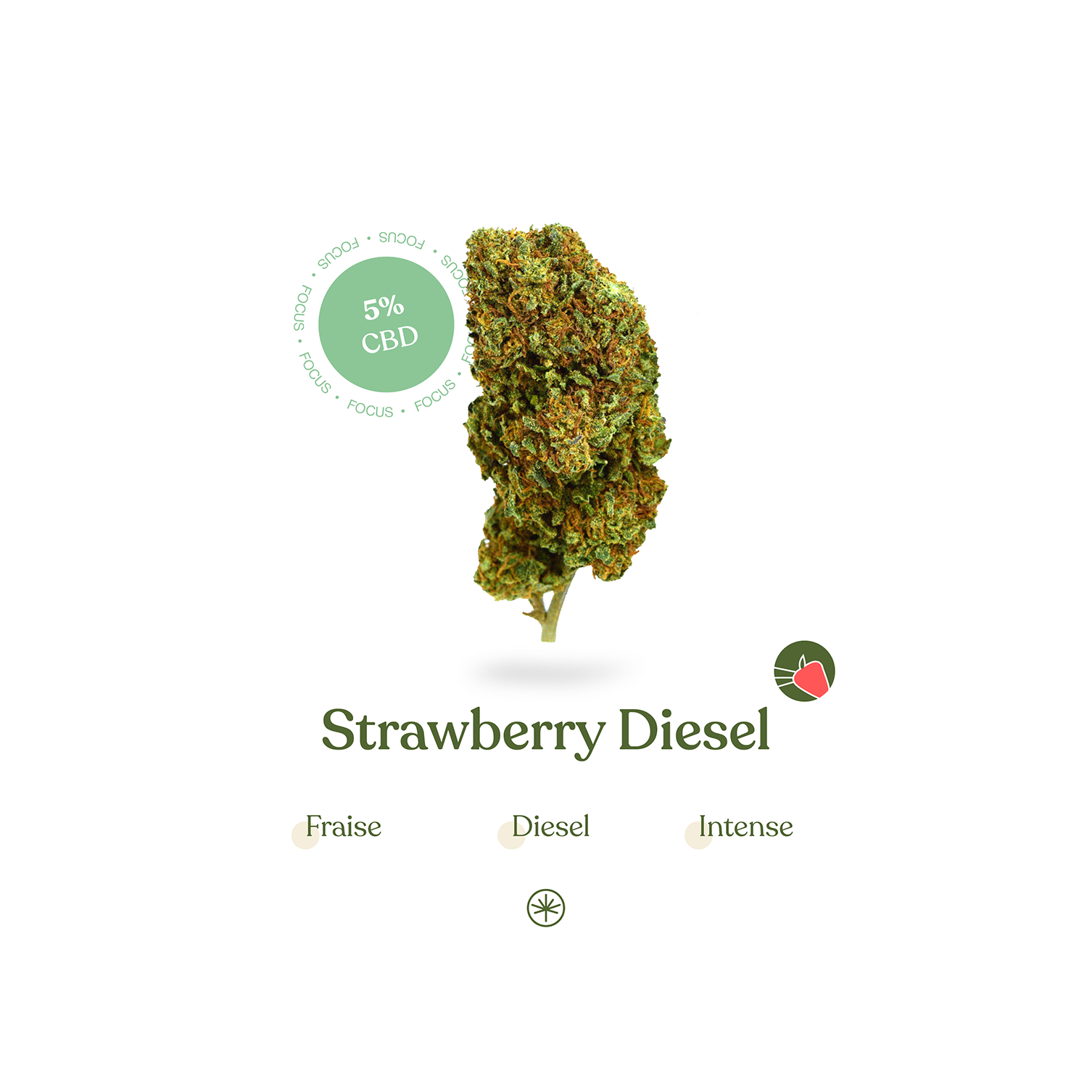 Fleurs de CBD Strawberry Diesel